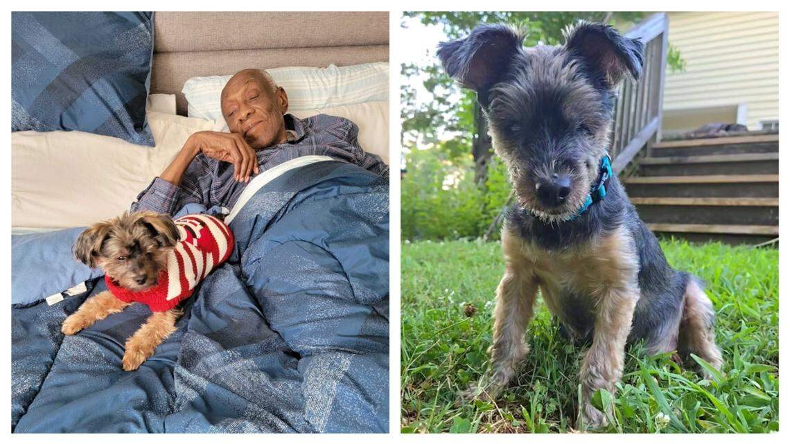 Denim and his 92-year-old owner are “best buddies.”