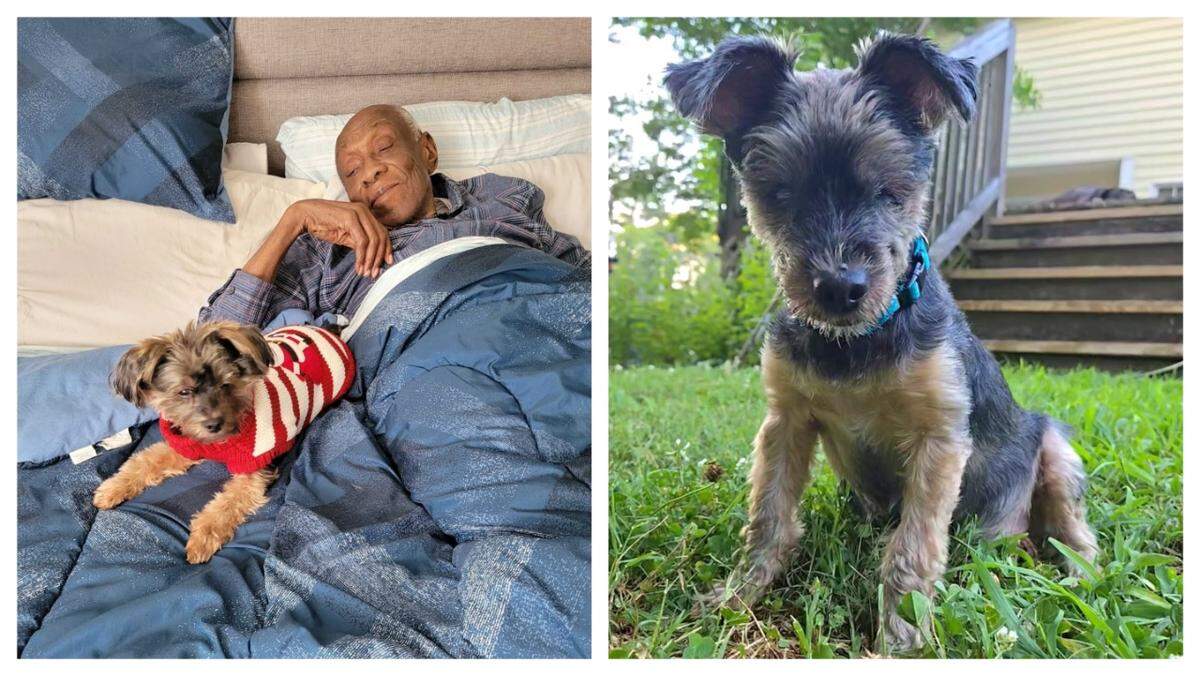 Denim and his 92-year-old owner are “best buddies.”