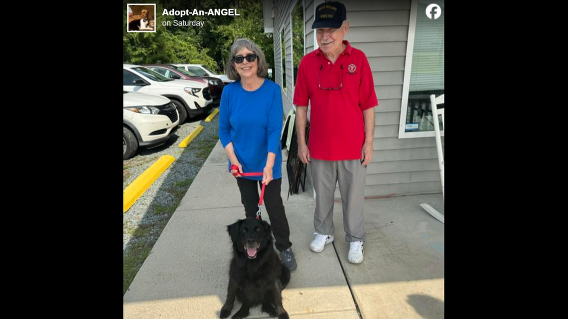 A dog struggling at a shelter returned to a North Carolina animal rescue and was adopted.
