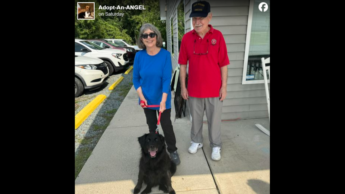 A dog struggling at a shelter returned to a North Carolina animal rescue and was adopted.