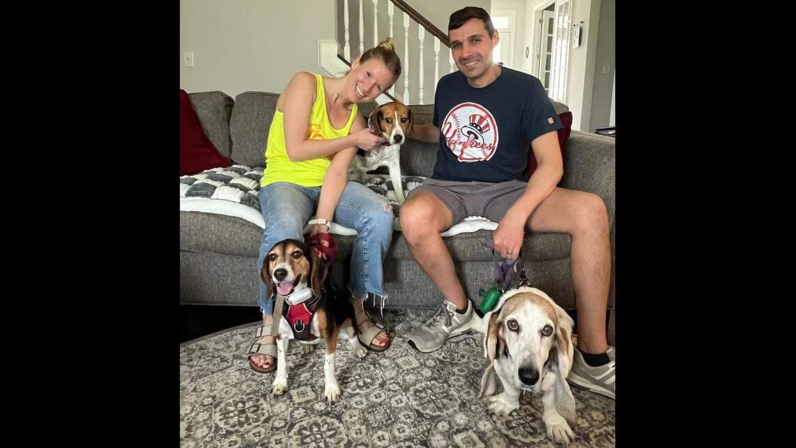 A dog who lost a leg got a fresh start in a new home.