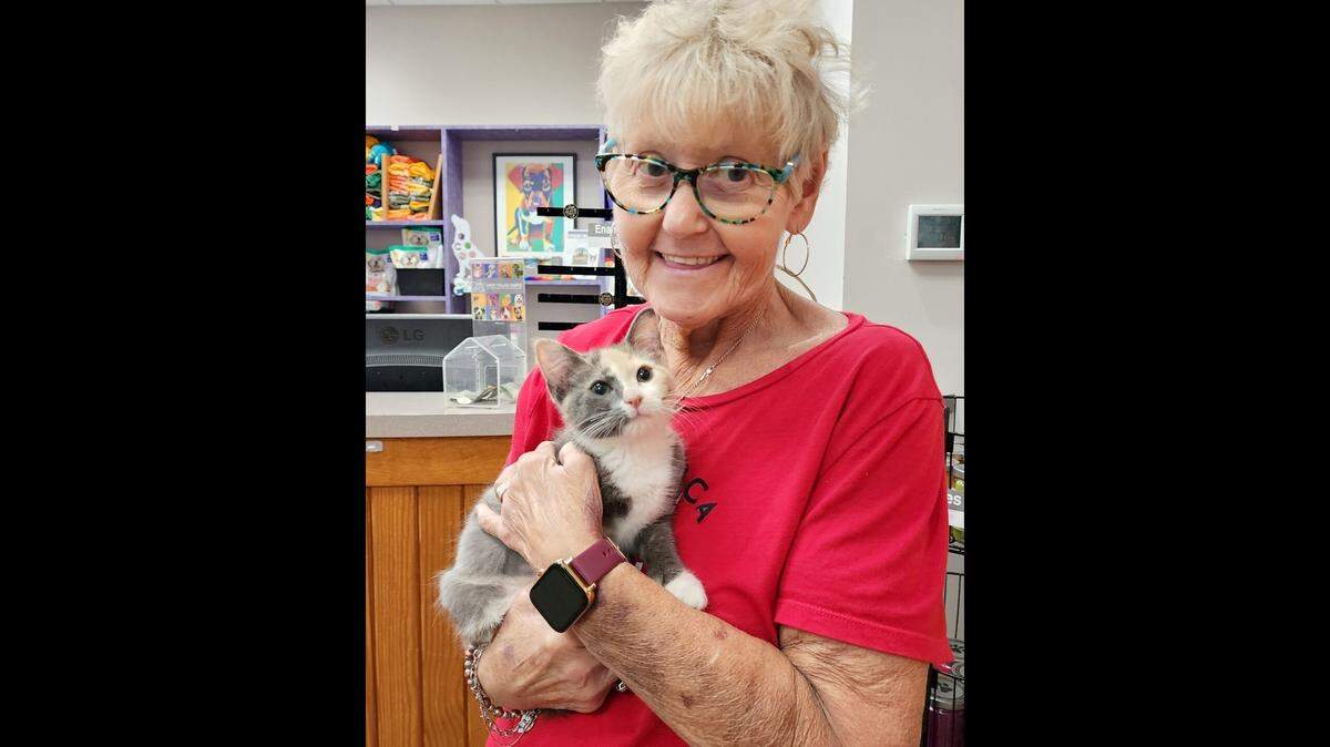An “affectionate” kitten needed a new home — then came good news.