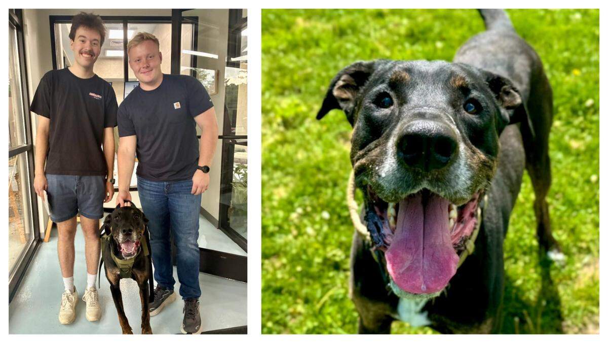 A quirky dog was adopted after more than 300 days of waiting at a North Carolina shelter. 