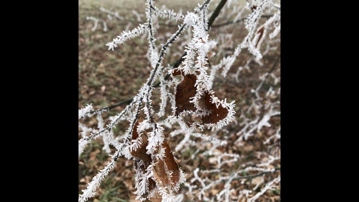 A “heavy frost” hit North Carolina during the summer of 1816, historians said.
