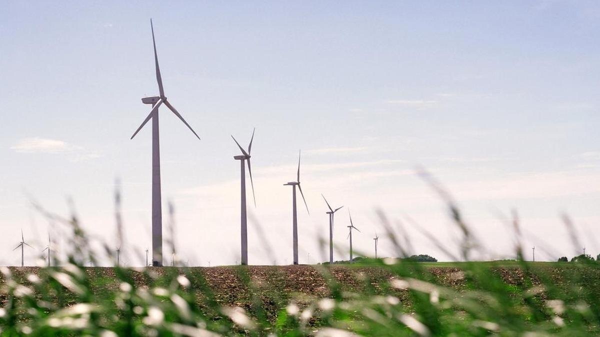 
A photo provided by Iberdrola Renewables shows one of the company’s other wind farms, which features flat topography and row crops – much like the project planned for North Carolina.
