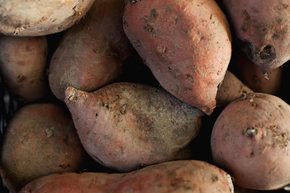 North Carolina grows more sweet potatoes than the rest of the United States combined.