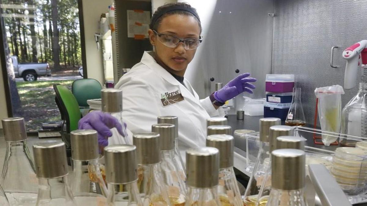 AgBiome, Inc. research scientist Billie Espeko adds another flask to the tray of food culture flasks she has introduced a bacterial culture into during her workday Wednesday, October 14, 2015. AgBiome, Inc. is an RTP agricultural biotech company that specializes in plant, root and soil analysis for pest management and plant enhancement. The entrepreneurial agricultural biotech company started up in RTP in early 2013 and has relied more and more on out of state investors to raise money for development of their new products.