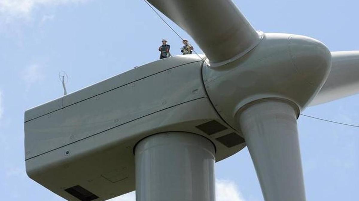 Wind energy projects, like this one at the Amazon Wind Farm near Elizabeth City, will be banned for 18 months, under a bill signed into law Thursday.