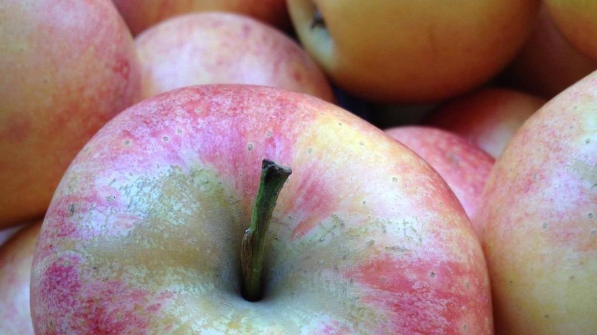 A file photo of apples.