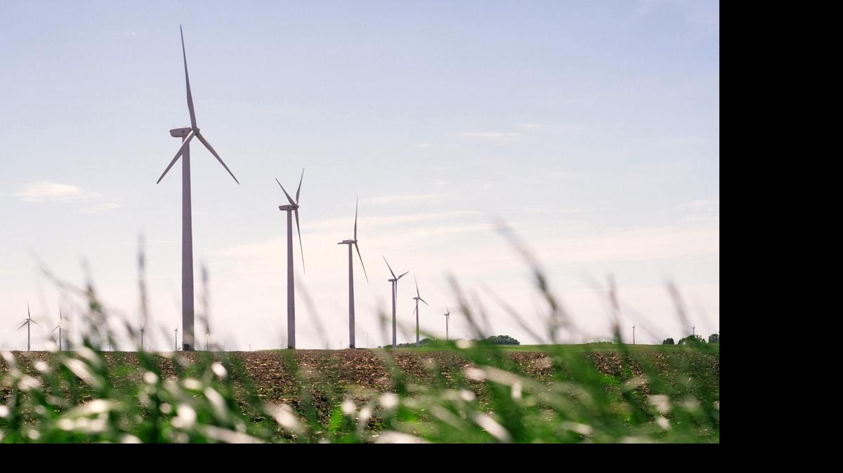 
A photo provided by Iberdrola Renewables shows one of the company’s other wind farms, which features flat topography and row crops – much like the project planned for North Carolina.
