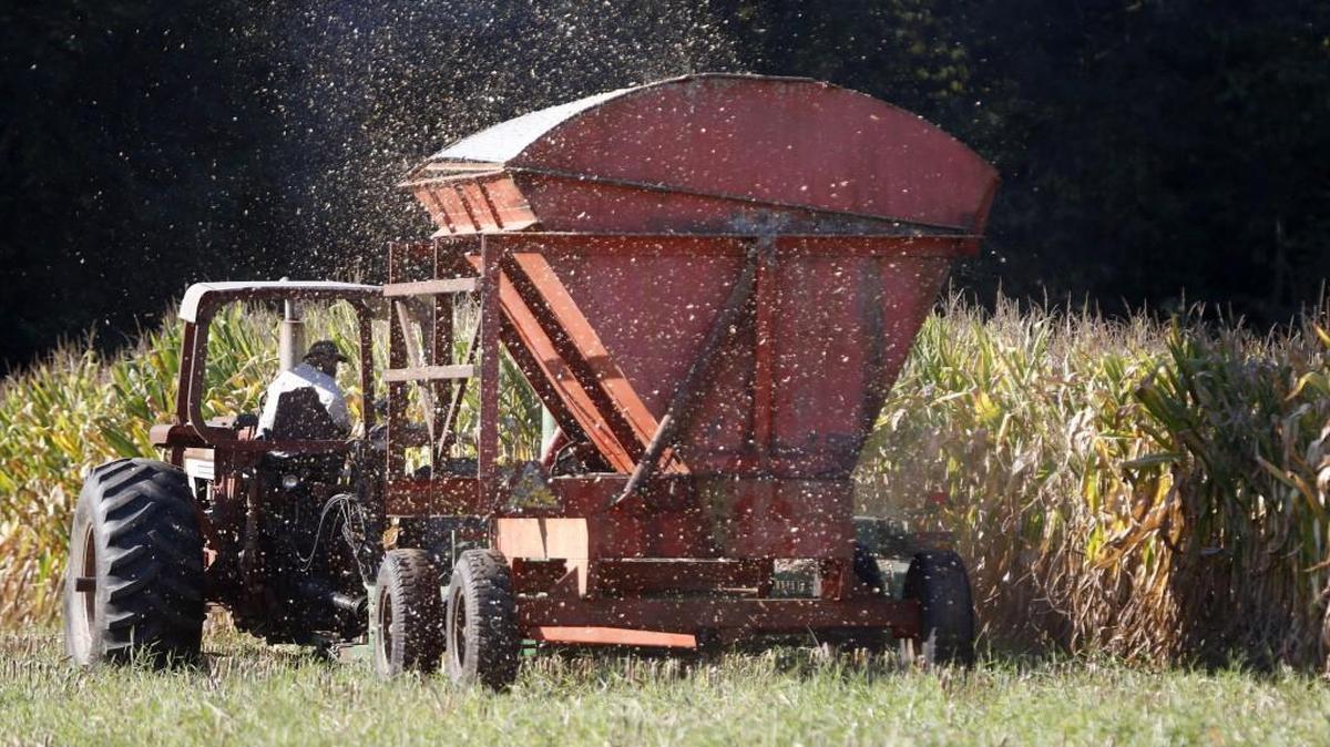 Sights like this – of a Chatham County farmer harvesting his silage corn last fall – are not as widespread as they once were in North Carolina. The number of farms in the state is declining, even as the state remains highly dependent on agricultural output for jobs and revenue.