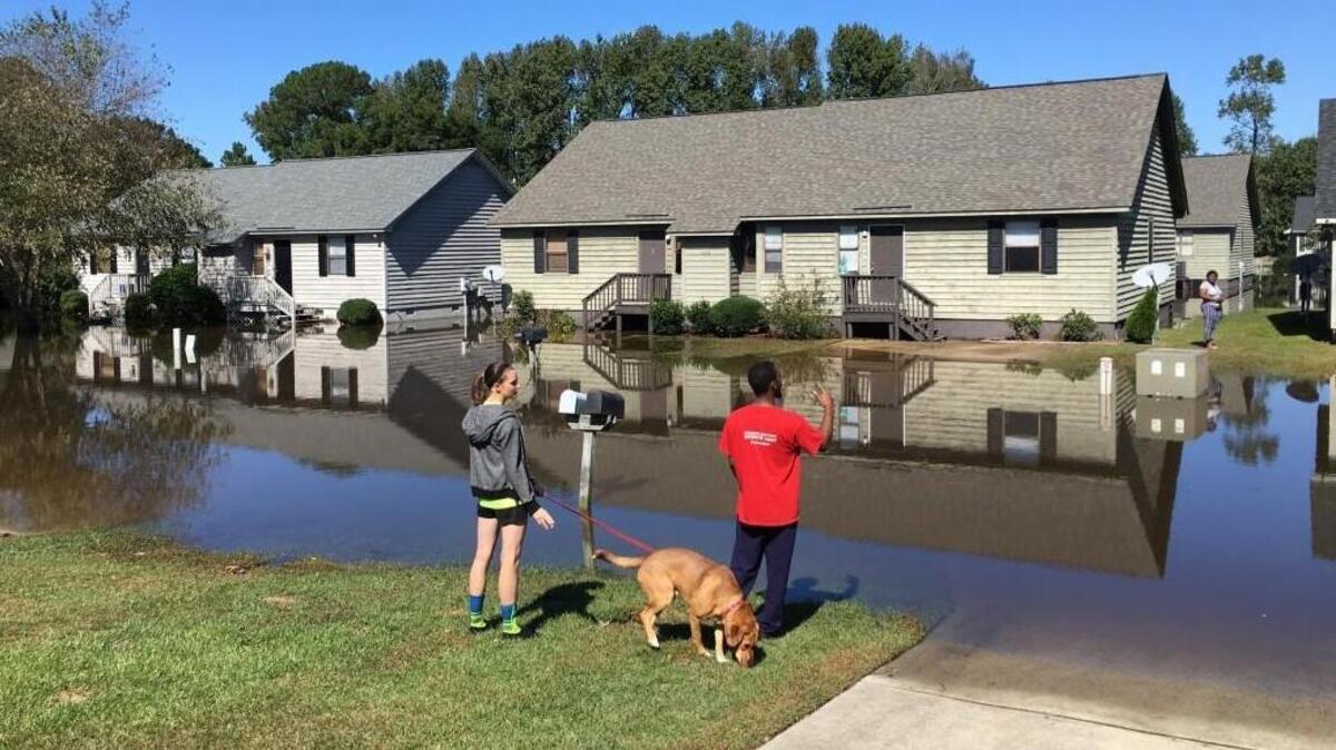 In considering the N.C. Rate Bureau’s request to raise homeowners’ insurance, the N.C. Department of Insurance will take into account how much insurers had to pay out to cover damages from storms like Hurricane Matthew in 2016.