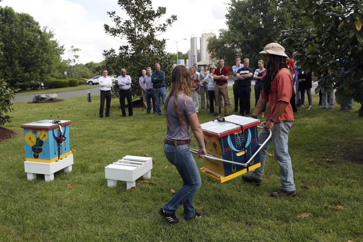 Bee Downtown CEO Leigh-Kathryn Bonner, left, and Justim Maness move two bee hives, hand painted by local artists, to their new home on the grounds at Freudenberg IT in Durham on Wednesday, April 26, 2017. Bee Downtown is a Durham-based startup focused on increasing the honey bee population in cities across the U.S. Bee Downtown will install over 50 new beehives at major businesses across the Triangle.