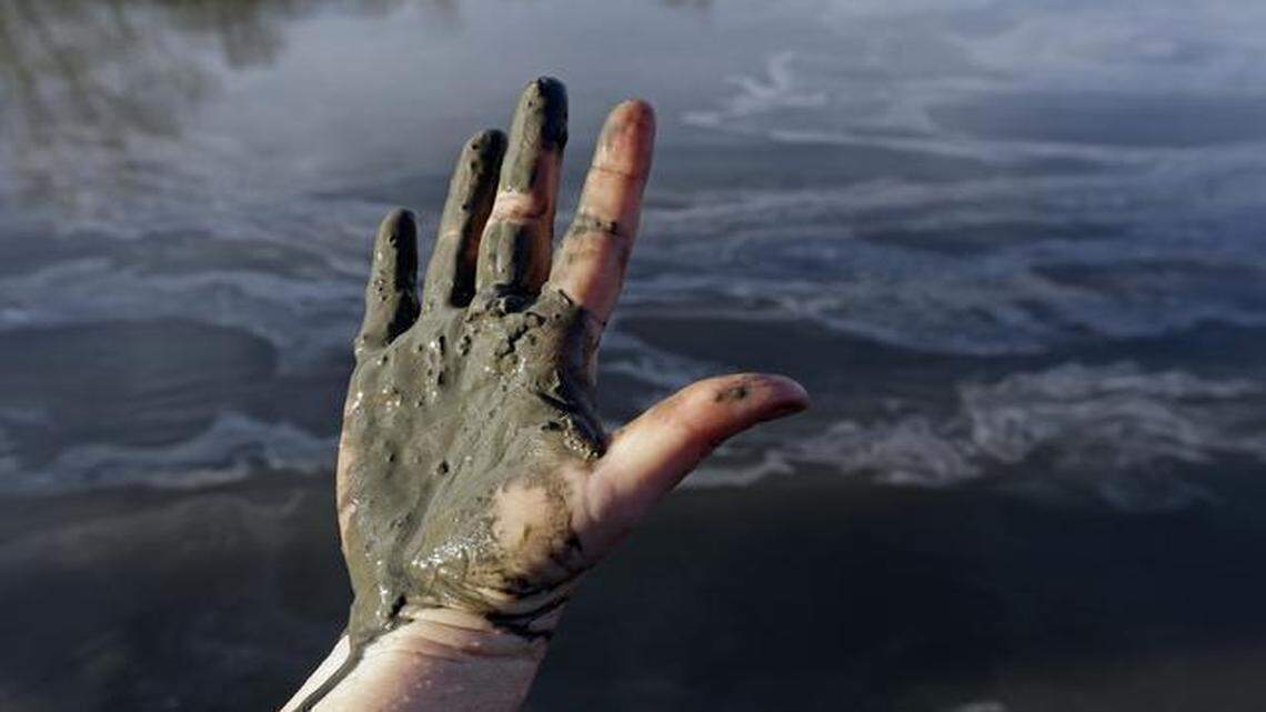 
Amy Adams, North Carolina campaign coordinator with Appalachian Voices, shows her hand covered with wet coal ash from the Dan River last year.


