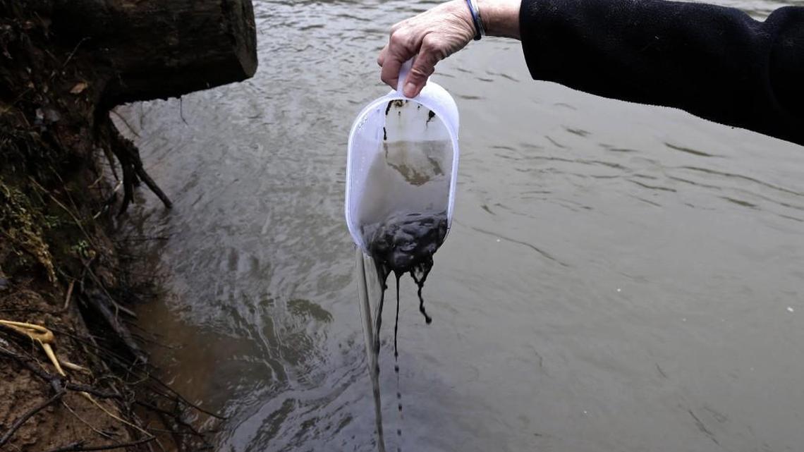 Jenny Edwards, program manager for Rockingham County with the Dan River Basin Association, scoops coal ash from the banks of the river February 5, 2014 as state and federal environmental officials continued their investigations of a spill in Eden, N.C. Duke Energy estimates that up to 82,000 tons of ash has been released from a break in a 48-inch storm water pipe at the Dan River Power Plant.
