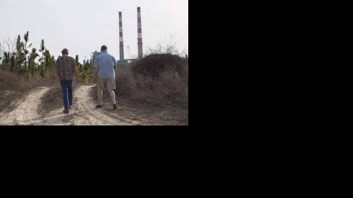 
Flemington Road community neighbors Sam Malpass, left, and Kenneth Sandlin of Wilmington walk through former hunting grounds near their homes on Feb. 19, 2014. The two are part of a small community nearby the L.V. Sutton Complex operated by Duke Energy they feel has polluted well water from seepage from large coal ash ponds.
