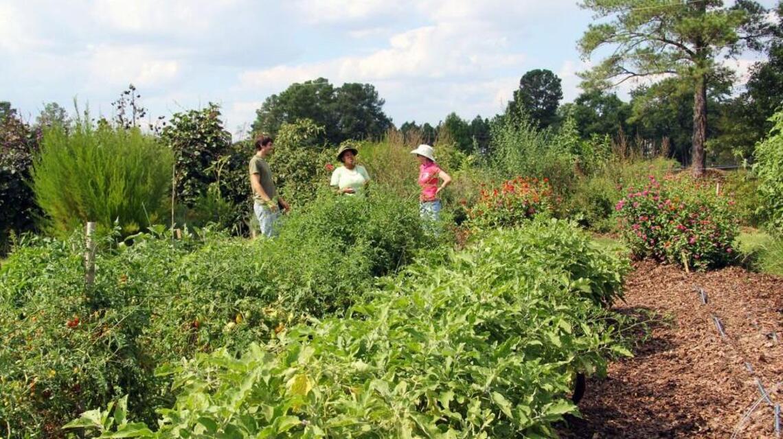Inter-Faith Food Shuttle's Teaching Farm grows gardeners into farmers