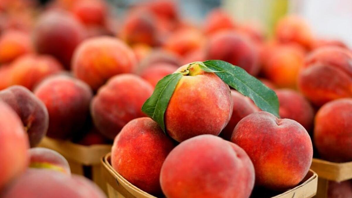 Here's’ where to buy peaches in central Kentucky.