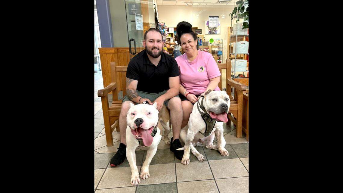 A pair of dogs rescued from a roadside got a second chance, a North Carolina shelter said.