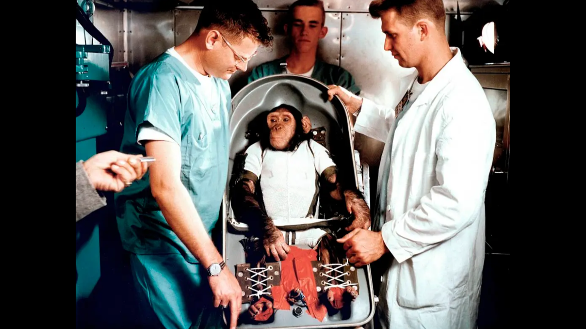 Ham the chimp launched into space before he spent some of his retirement years in North Carolina.