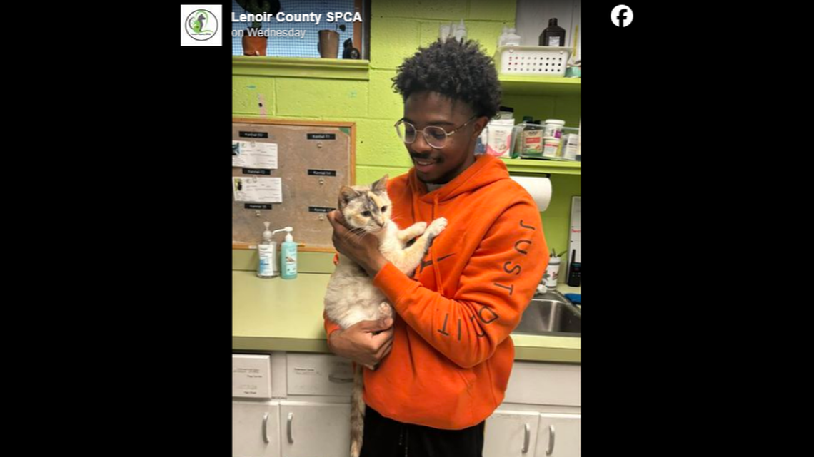 A North Carolina cat has a new home after a man “waited patiently” to adopt her, officials said.