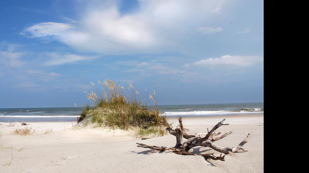 
Bear Island, at Hammock's Beach State Park. 

