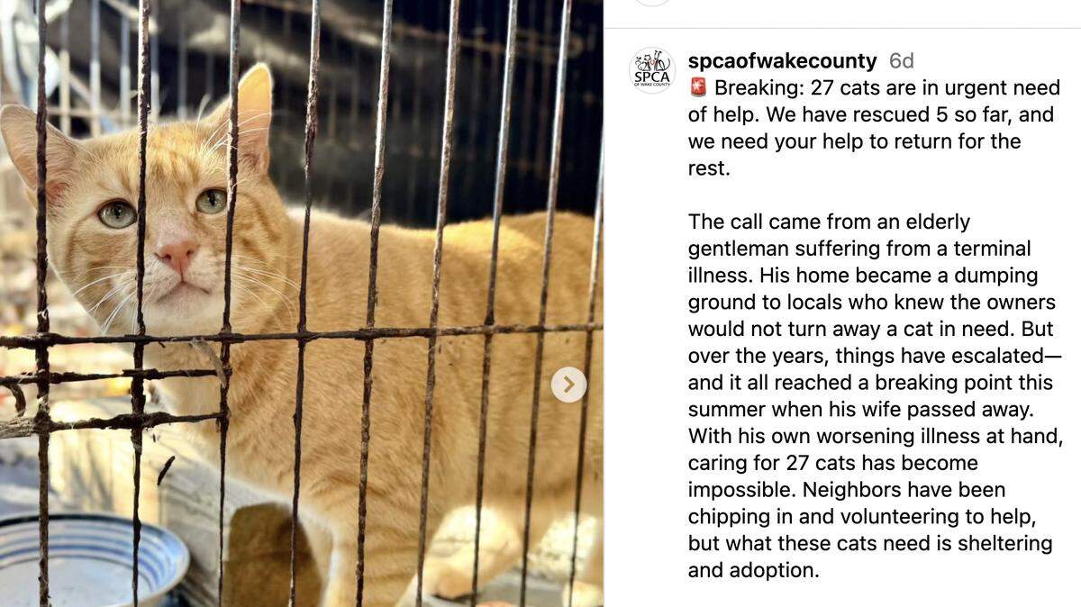 SPCA of Wake County is asking the public for donations to help rescue 22 cats from a North Carolina home.