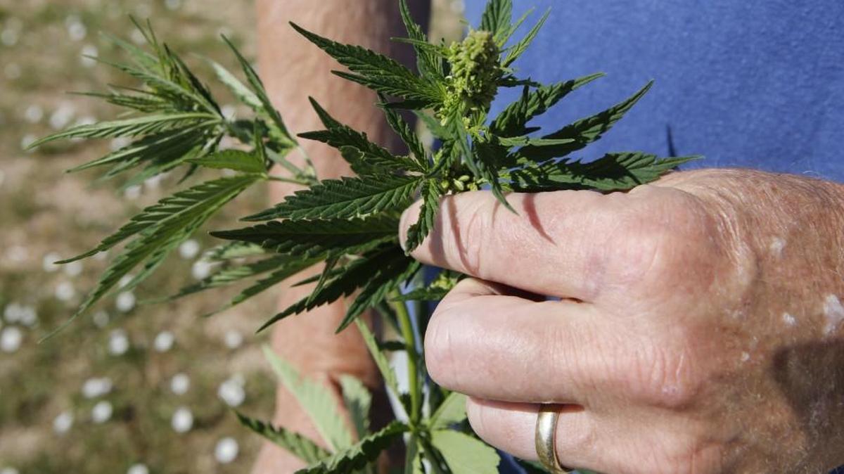 An RTI International study says that states with permissive medical marijuana laws have significantly higher rates of serious mental illness. The study was based on data involving 630,000 people.