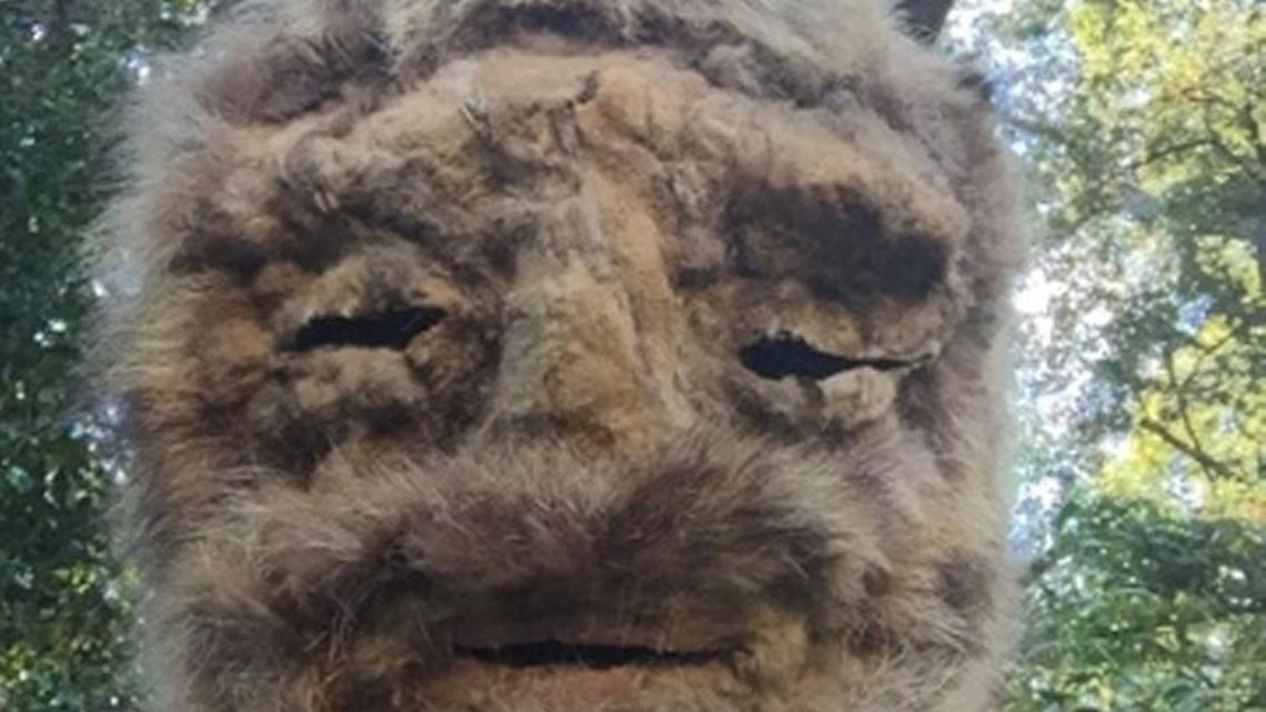 Gawain MacGregor’s animal skin mask