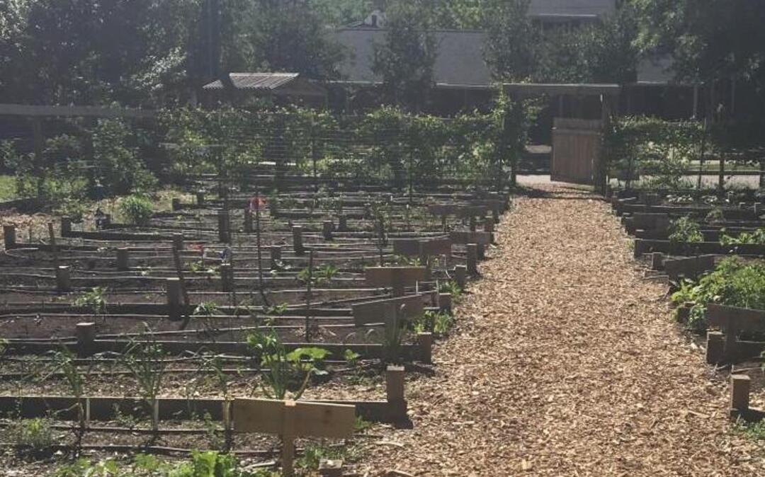 The Camden Street Learning Garden that will benefit from Meredith Brown’s Food Shuttle Garden Gallop 5K.