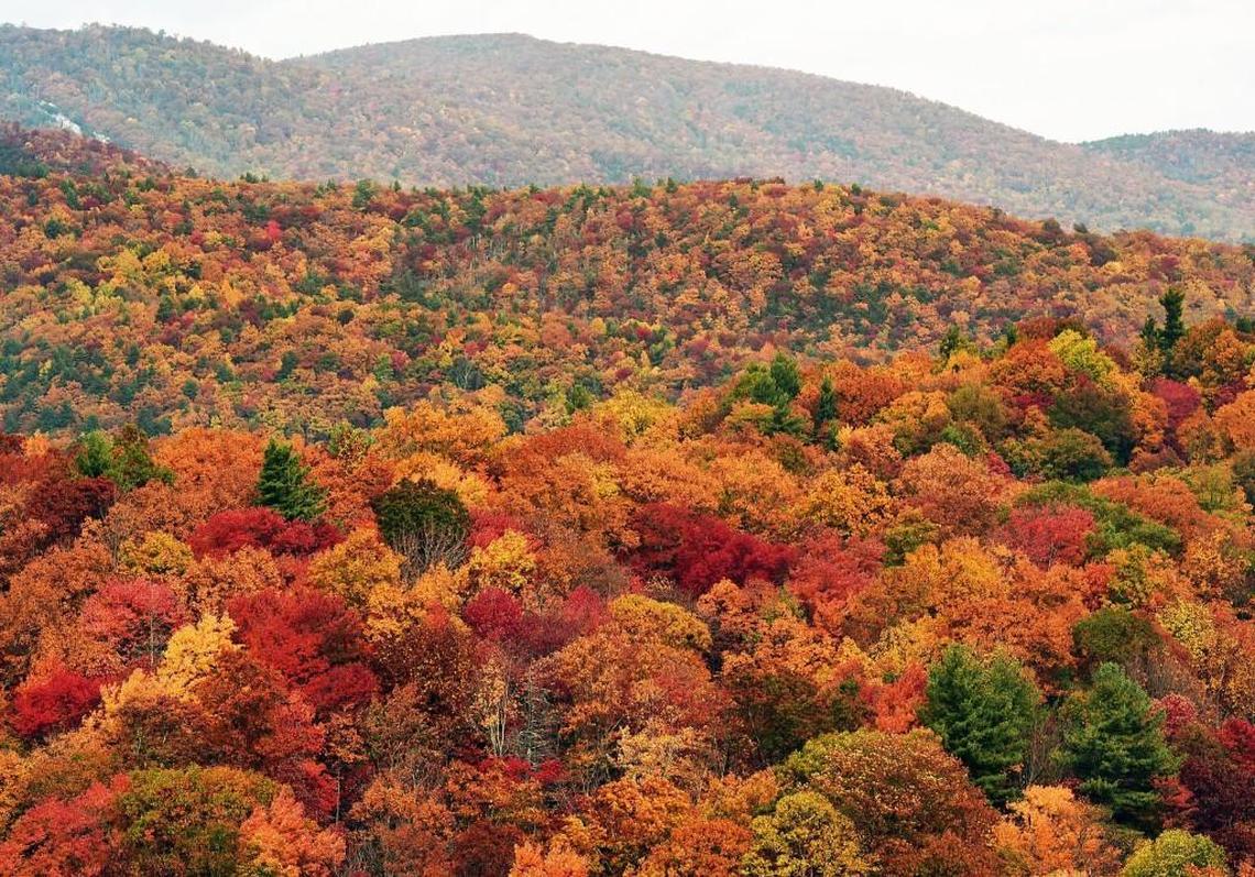 Southern Living recognized the Blowing Rock area for its fall foliage, but the praise didn’t stop there.