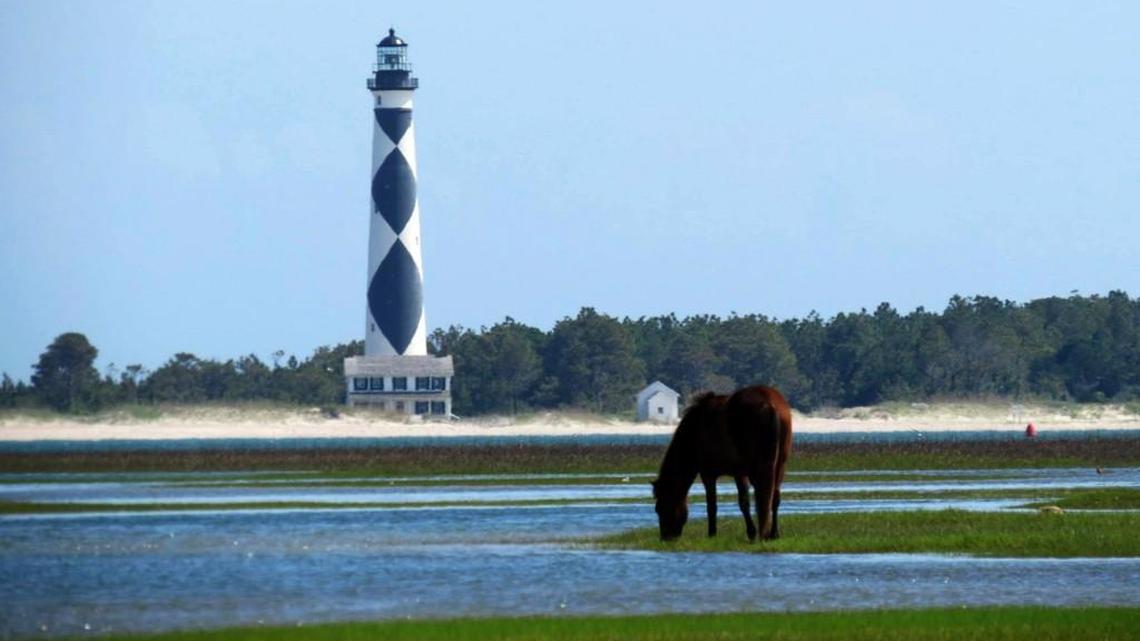 Carteret County was named the best county to retire in North Carolina by MSN.