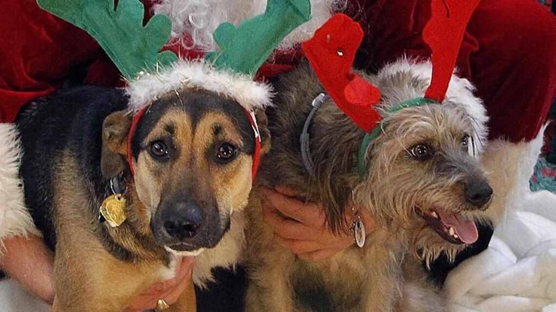 Holiday Roundup