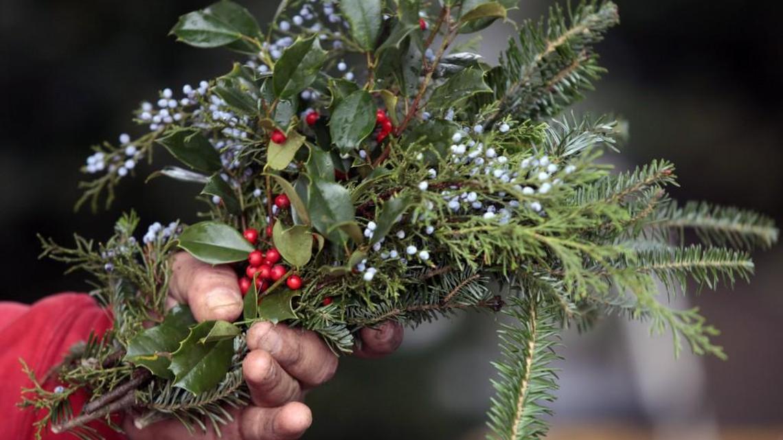 If you’re looking for an LGBTQ-friendly event to attend this holiday season, here are some happening in North Carolina.