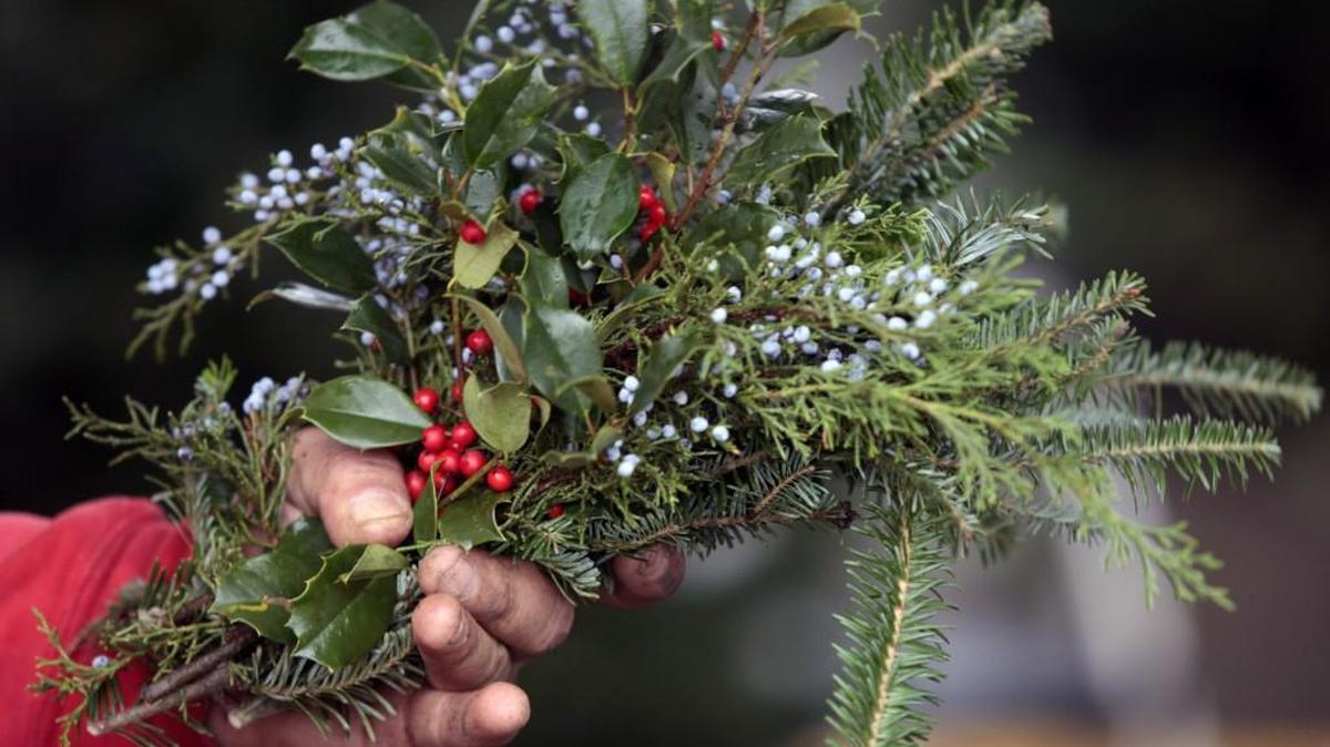 If you’re looking for an LGBTQ-friendly event to attend this holiday season, here are some happening in North Carolina.