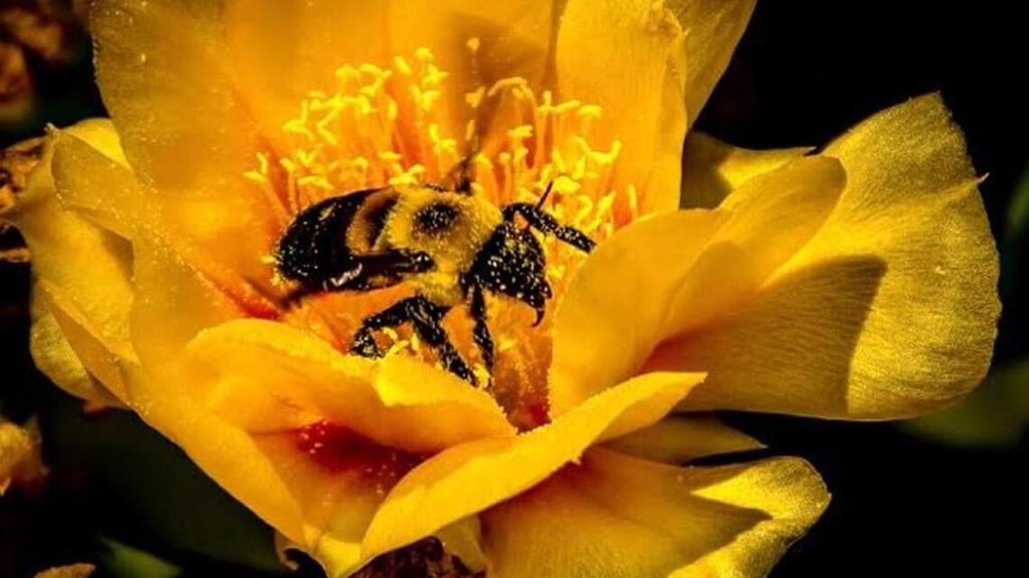 Your Best Shot: June 8