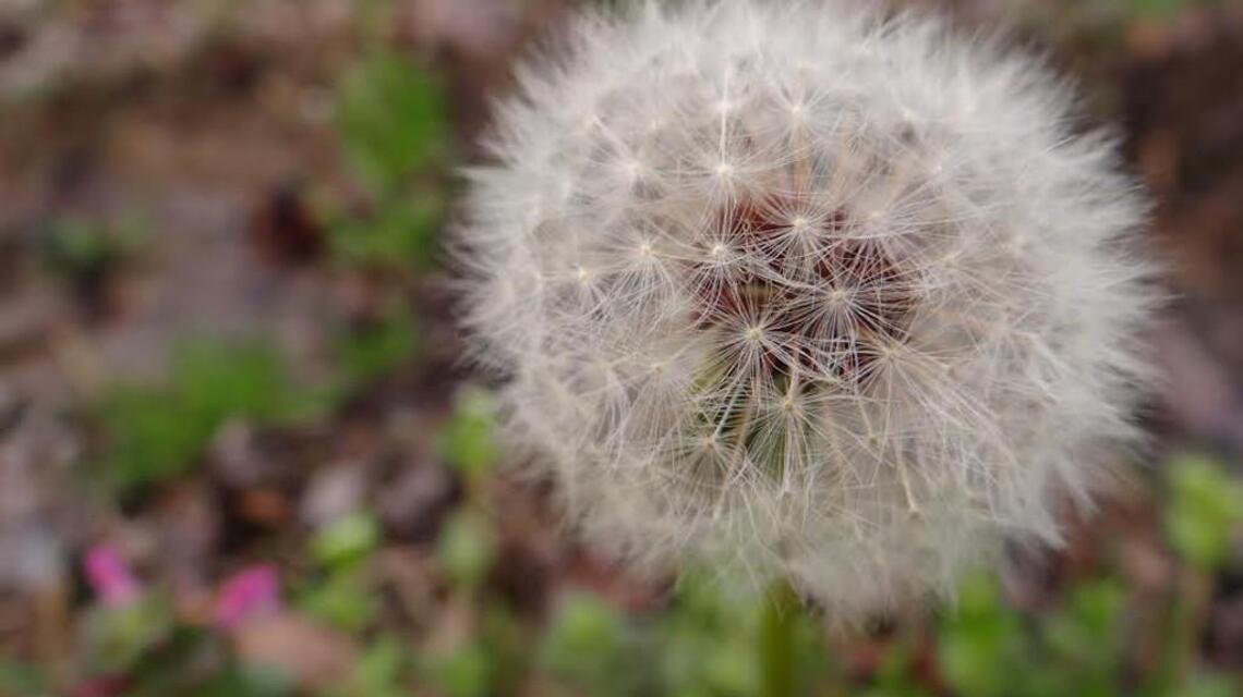Your Best Shot: March 30