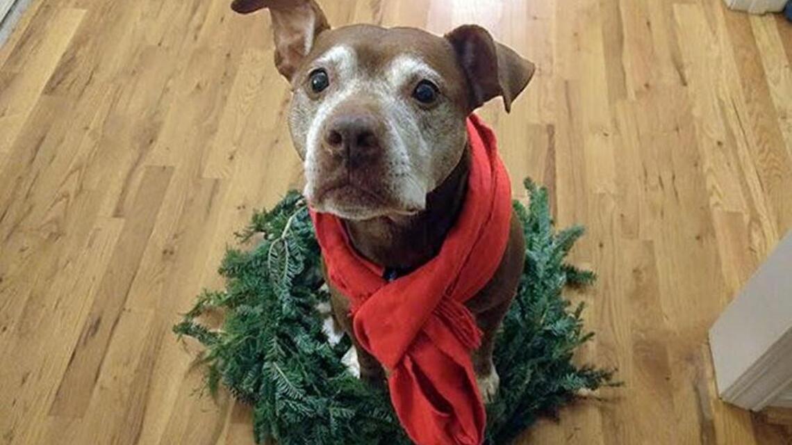 Holiday Events
