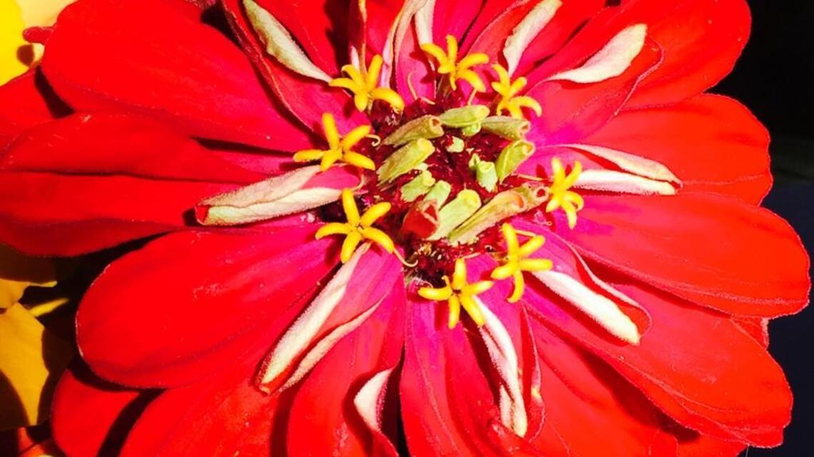 Your Best Shot: July 6