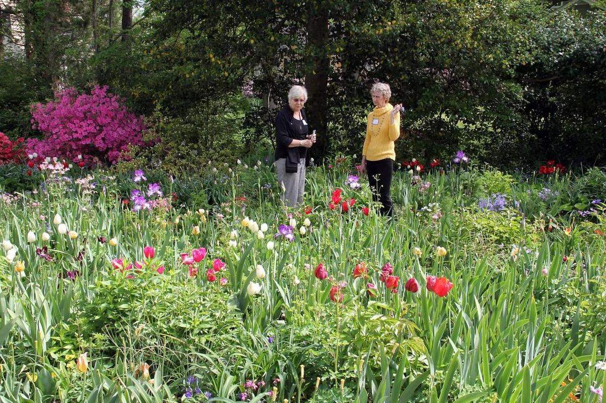 Guests enjoy Barbara Stiles and Bernice Stiles Wade’s garden at the twin sisters’ garden Saturday morning, April 18, 2015, in Chapel Hill.