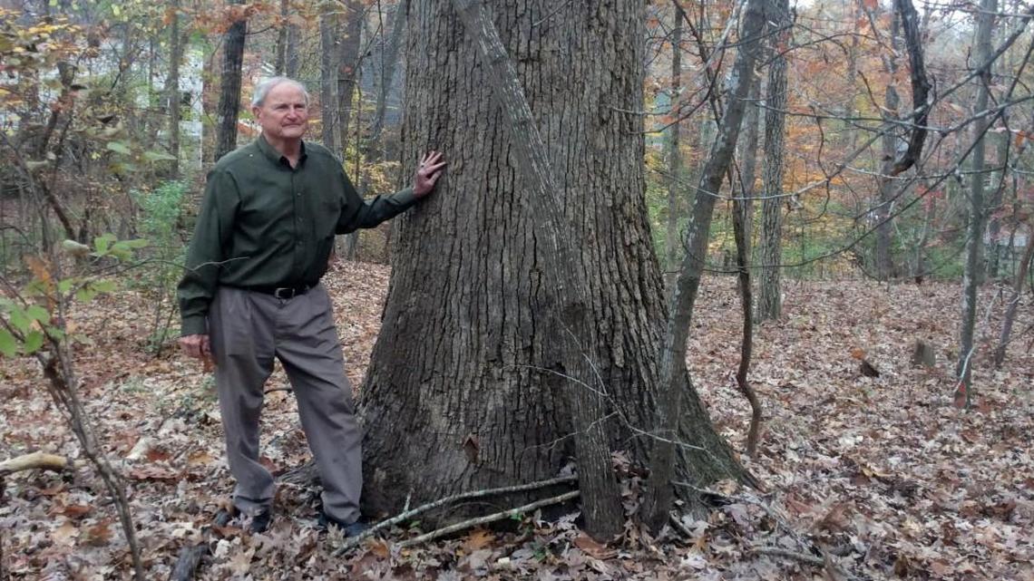 P.H. Craig, shown here in a 2015 file photo, plans to harvest the timber from his roughly 70-acre forest (shown behind him). Friends of Bolin Creek and other concerned residents are campaigning for him to consider other options.