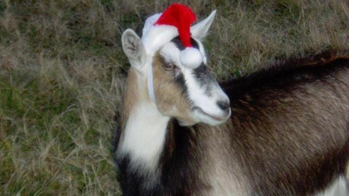 Holiday Events