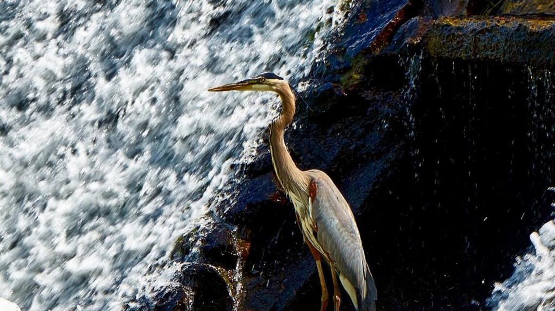 Your Best Shot: May 25