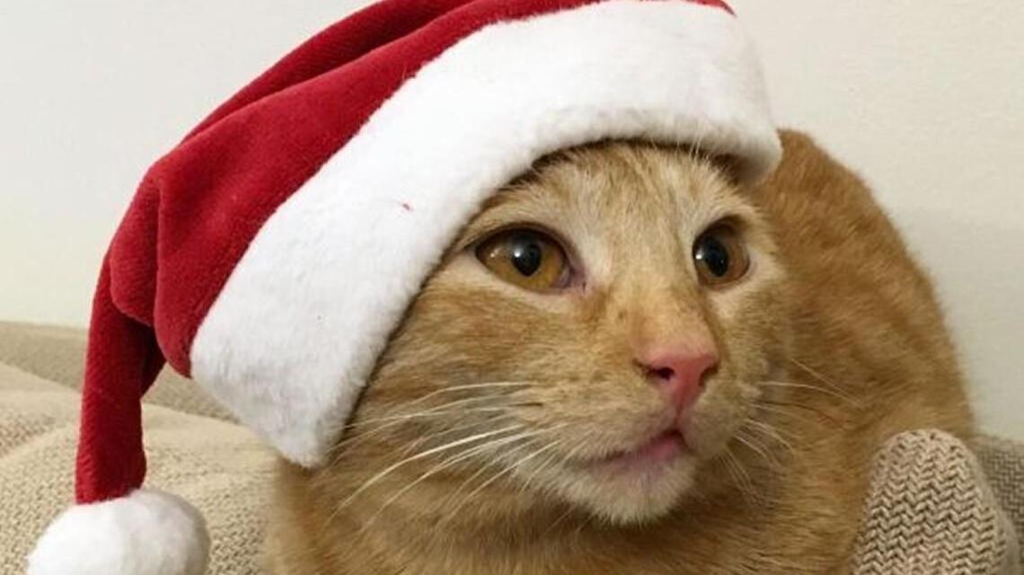 Holiday Events