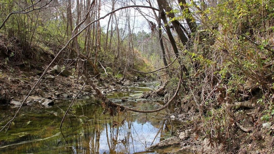 Coming to Durham in 2018: West Ellerbee Creek Trail extension