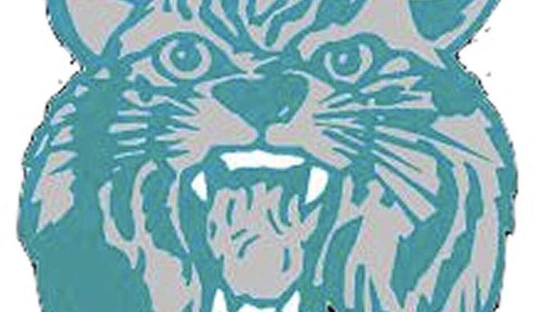 West Johnston volleyball ends unbeaten run by Clayton