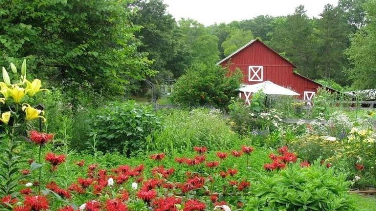 Bluebird Hill Farm