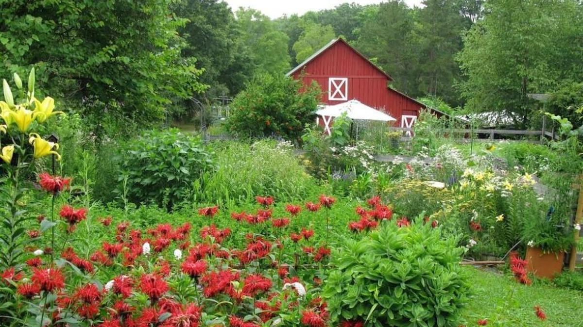 Bluebird Hill Farm