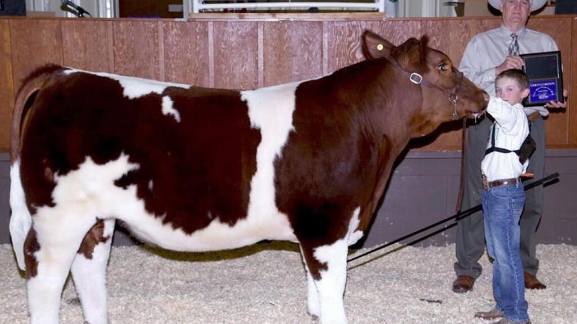 Youth Livestock Show & Sale returns to Johnston April 10-12