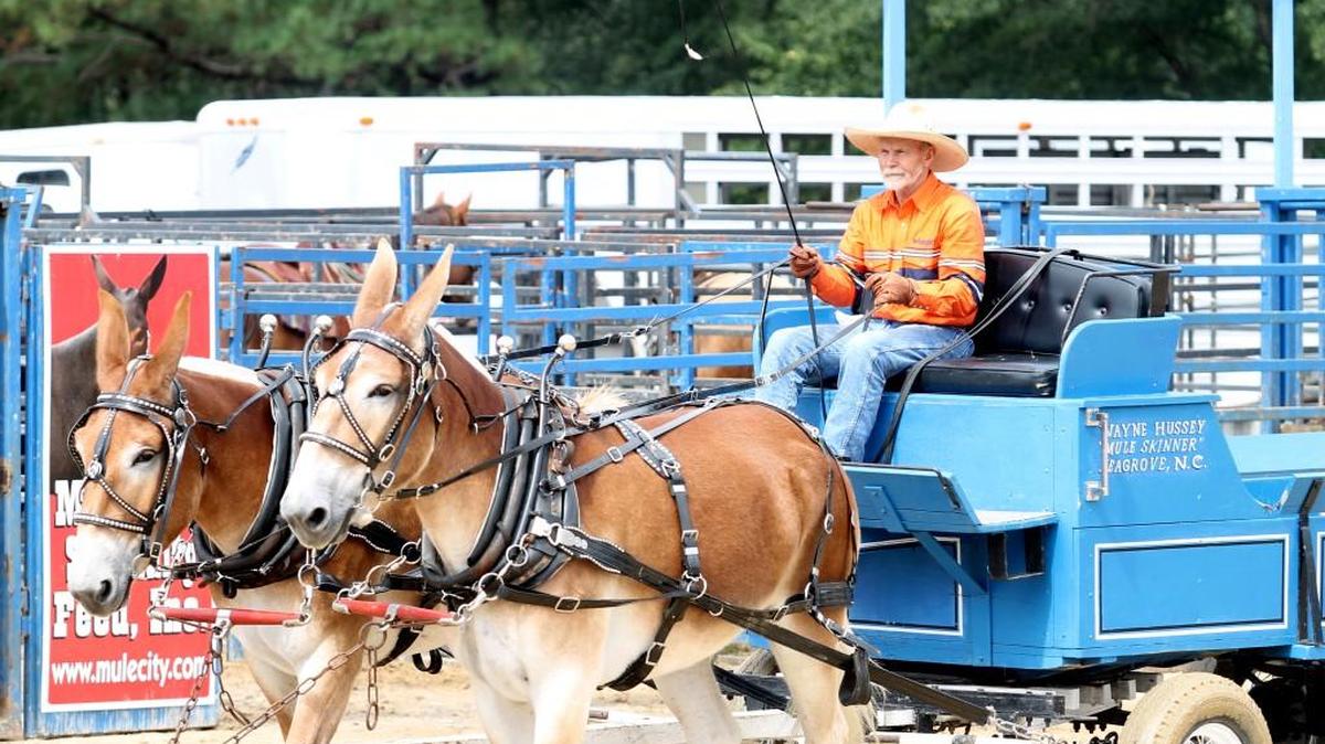 From boiled peanuts to okra, check out these unique festivals across the Carolinas in 2023